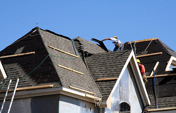 Best Storm Damage Roof Repair  in Whiteville, TN
