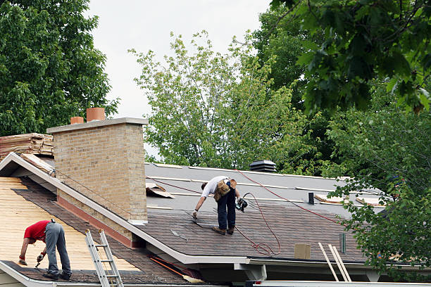 Best Roof Moss and Algae Removal  in Whiteville, TN